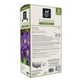 thumbnail image 2 of Member's Mark Clematis Jackmanii Dormant Bulbs, 3pk, 2 of 9