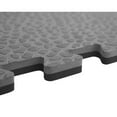 thumbnail image 5 of Norsk Rhino-Tec 6-pk Reversible Gym Flooring, 5 of 6