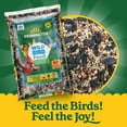 thumbnail image 4 of Pennington Wild Bird Food with Cherry Flavoring, 40 lbs., 4 of 9