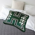 thumbnail image 2 of Logo Brands Hawaii Rainbow Warriors XL Puff Pillow, 2 of 5