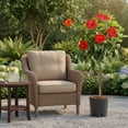 thumbnail image 5 of Costa Farms Live 10" Tropical Hibiscus Standard, Flowering, 5 of 8