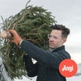 thumbnail image 1 of Angi Christmas Tree Haul Away Service, 1 of 3