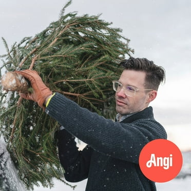 Angi Christmas Tree Haul Away Service