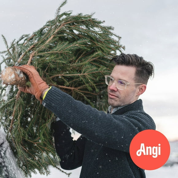 Angi Christmas Tree Haul Away Service