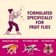 thumbnail image 4 of Aunt Fannie's FlyPunch! Fruit Fly Trap for Indoor Use, 6 oz, 4 of 5