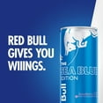 thumbnail image 4 of Red Bull Summer Juneberry Edition 8.4 fl. oz., 24 pk., 4 of 11