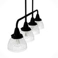 thumbnail image 8 of Hunter Cypress Grove with Clear Holophane Glass 4 Light Chandelier Ceiling Light Fixture, 8 of 10