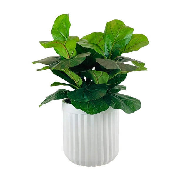 Artificial Premium Fiddle Leaf Fig Plant in Off White Pot - Samsclub.com