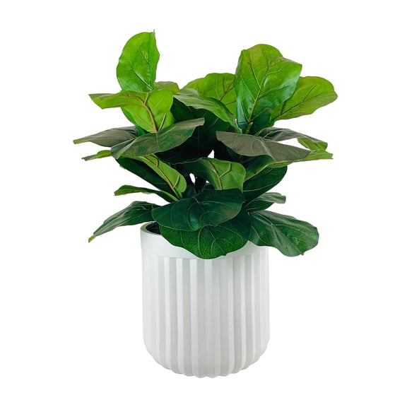 Artificial Premium Fiddle Leaf Fig Plant in Off White Pot