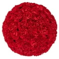 thumbnail image 1 of Member's Mark Carnations, Choose color and stem count, 1 of 7