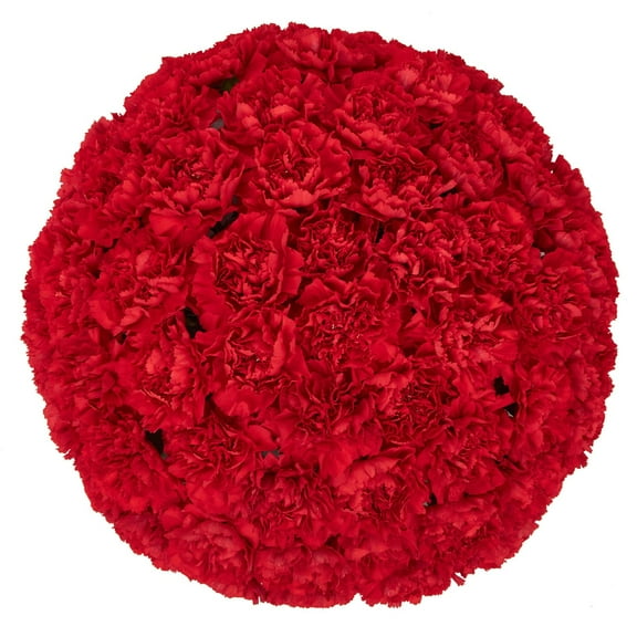 Member's Mark Carnations, choose color and stem count