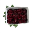 thumbnail image 6 of Member's Mark Ecuadorian Premium Roses, choose color variety and stem count, 6 of 9