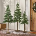 thumbnail image 1 of Member's Mark Pre-Lit Alpine Tree Décor, Set of 3, 1 of 7