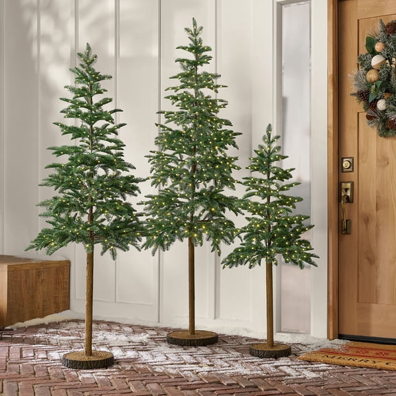 Member's Mark Pre-Lit Alpine Tree Décor, Set of 3