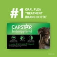 thumbnail image 4 of PetArmor Plus Capstar Flea & Tick Bundle for Medium Dogs, 3-Month Supply, >25 lbs., 4 of 7