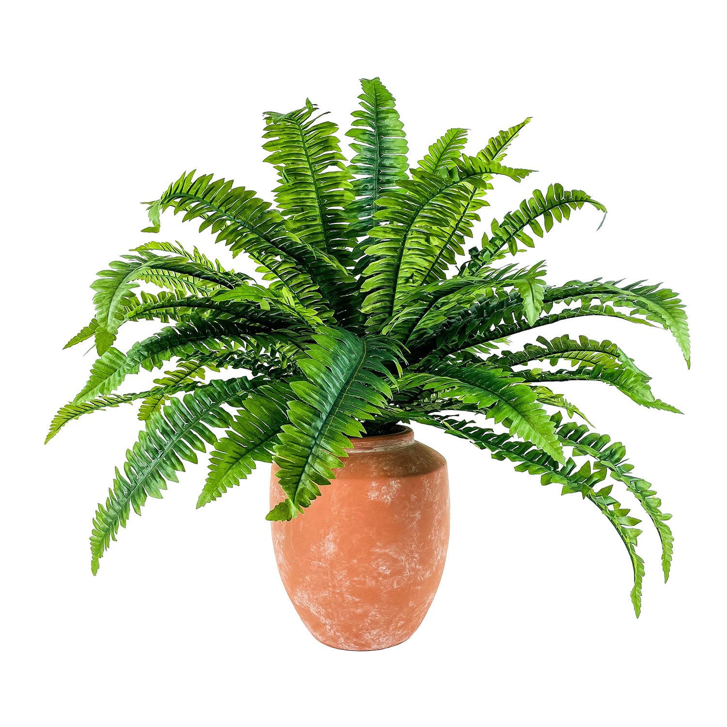 Faux 30" Boston Fern in Rustic Terra Cotta Planter - Samsclub.com