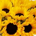 thumbnail image 5 of Member's Mark Sunflowers, choose quantity, 5 of 6