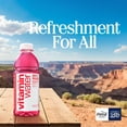 thumbnail image 2 of Glaceau Vitaminwater Variety Pack Nutrient Enhanced Water 16.9 fl. oz., 18 pk., 2 of 7