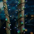 thumbnail image 2 of Member's Mark 100ct Dual Color Mini LED Lights, 22.3' Lighted Length, 2 of 5