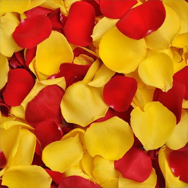 Member's Mark Fresh Rose Petals, 3000 ct., Choose color variety