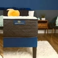 thumbnail image 5 of Serta Perfect Sleeper Bleu Moment 13.5" Mattress (Available in Firm and Plush), 5 of 11
