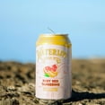 thumbnail image 7 of Waterloo Sparkling Water Variety Pack 12 fl. oz., 24 pk., 7 of 10