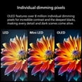 thumbnail image 8 of Philips 65" Class 974 Series 4K OLED Roku Smart TV, 8 of 23