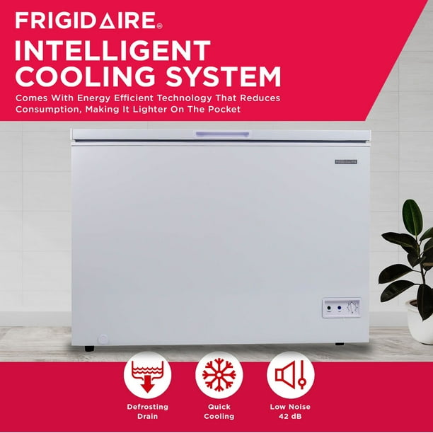 Frigidaire 10 cu. ft. Chest Freezer - Samsclub.com
