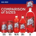 thumbnail image 4 of Big Red Soda 12 fl. oz., 36 pk., 4 of 11