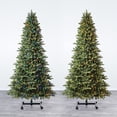 thumbnail image 1 of Evergreen Classics 7' to 9' Grow 'n Stow Fir Christmas Tree, 1 of 21