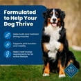 thumbnail image 5 of Blue Life Protection Formula Chicken and Brown Rice, Adult Natural Dry Dog Food, 38 lbs., 5 of 10