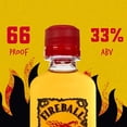 thumbnail image 3 of Fireball Square Party Bucket Whisky, 50 ml, 25 pk., 3 of 7