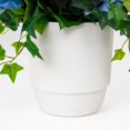 thumbnail image 2 of Artificial 26" Hydrangeas with Mixed Ivy in Ceramic Planter - White, Blue, or Pink, 2 of 5