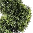 thumbnail image 3 of Faux 5' Spiral Topiary in Black Grower's Pot, 3 of 6