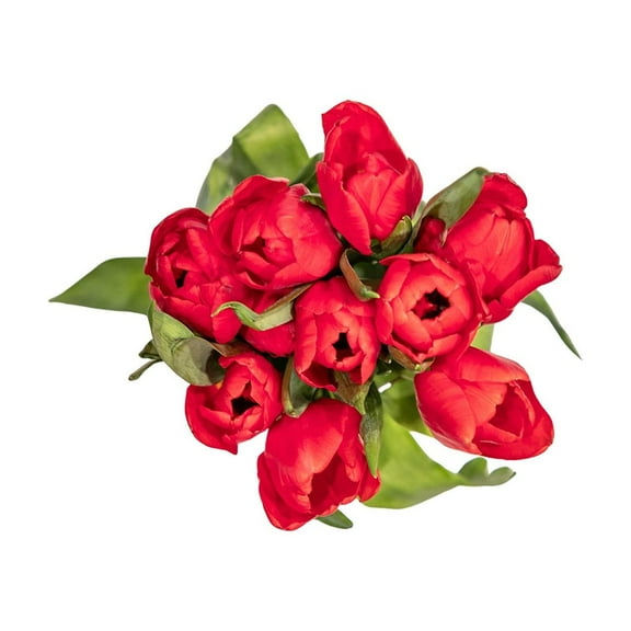 Member's Mark Tulips, 50 stems