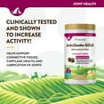 thumbnail image 5 of NaturVet ArthriSoothe-GOLD Level 3 Advanced Joint Care Supplements for Dogs and Cats, 240 ct., Choose Type, 5 of 10
