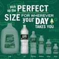 thumbnail image 4 of Poland Spring 100% Natural Spring Water, 1.5 L, 12 pk., 4 of 10