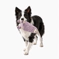 thumbnail image 6 of Alpaca Dog Toy, 3 pk., 6 of 9