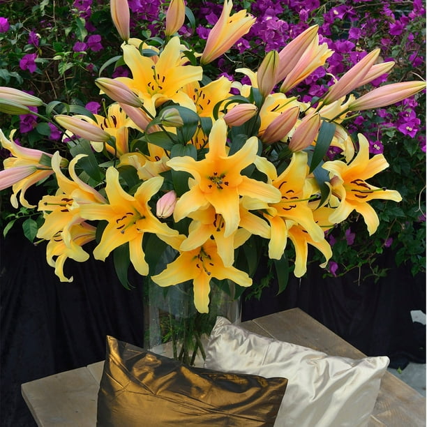 Member's Mark Super Select Oriental Lily, 5 stems - Samsclub.com