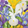 thumbnail image 4 of Member's Mark Dutch Iris Blend Dormant Bulbs, 70pk, 4 of 9