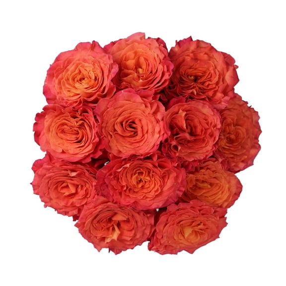 Member's Mark Garden Roses, 36 stems, Choose color variety