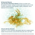 thumbnail image 5 of Youtheory Irish Sea Moss+ Zero Sugar Gummies, 120 ct., 5 of 7