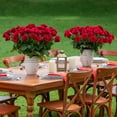 thumbnail image 5 of Member's Mark Ecuadorian Premium Roses, choose color variety and stem count, 5 of 5