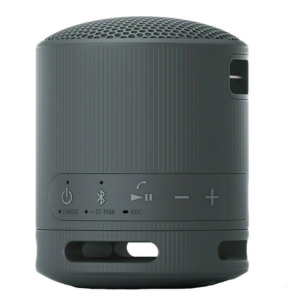 Sony SRSXB100 Bluetooth Portable Speaker - Samsclub.com
