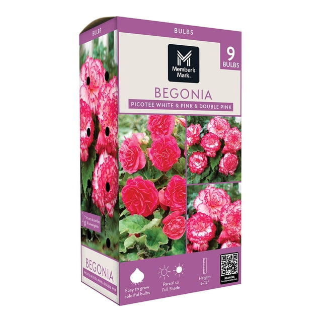 Member's Mark Picotee White to Pink & Double Pink Begonias Dormant Bulbs, 9pk