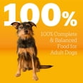 thumbnail image 4 of Pedigree Adult Roasted Chicken and Vegetable Dry Dog Food, 50 lbs. Bag, 4 of 12