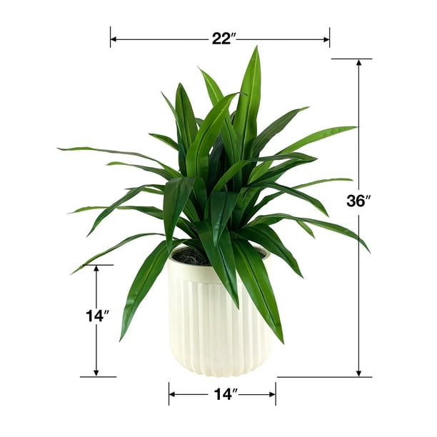 LCG Sales Artificial Premium Dracaena Plant in Fluted Off White Pot 36':- 36'