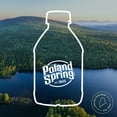 thumbnail image 5 of Poland Spring 100% Natural Spring Water, 8 fl. oz., 48 pk., 5 of 11