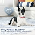 thumbnail image 9 of BISSELL Little Green HydroSteam Pet Portable Carpet Cleaner, 9 of 9