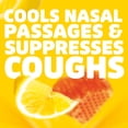 thumbnail image 7 of Halls Relief Honey Lemon Sugar-Free Cough Drops Value Pack, 180 ct., 7 of 14